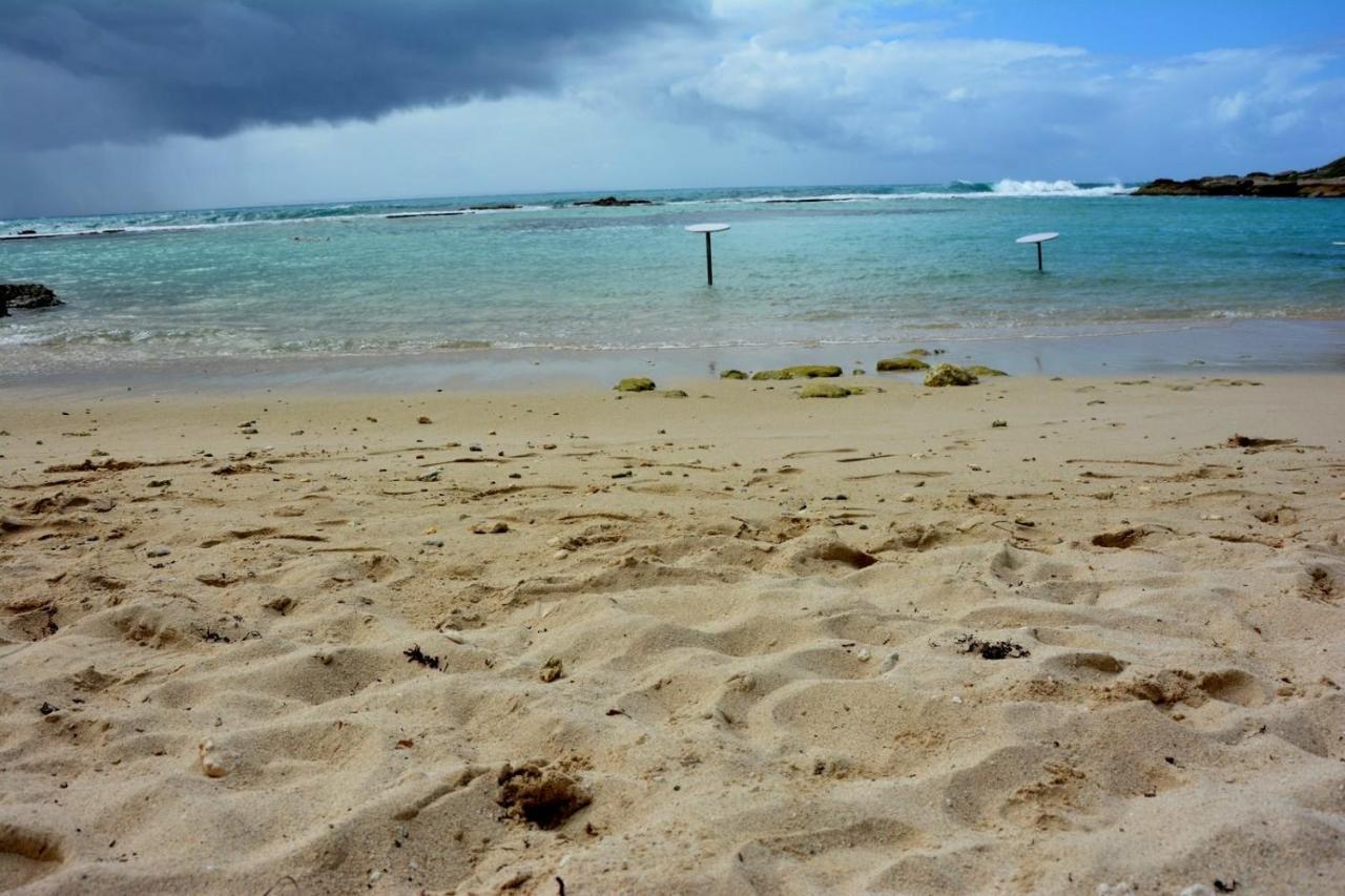 Studio Manganao Saint Francois Piscine & Plage Eksteriør billede